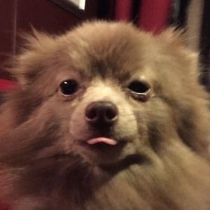 Meet your Posher, Jeff